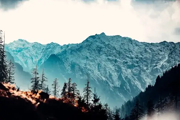 Book cab for Shimla and Kufri road trip from Chandigarh