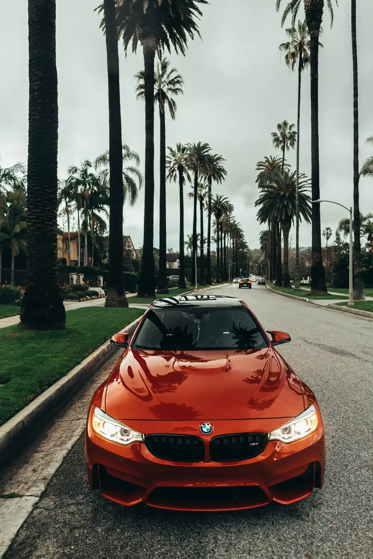 Luxury Sedan fleet